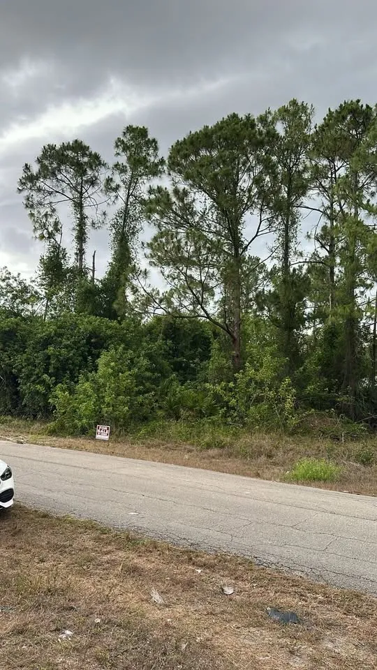 Foto do lote vista da rua — Lot 1